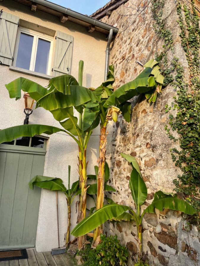 Maison Hirondelles Gites Mezieres-sur-Issoire المظهر الخارجي الصورة